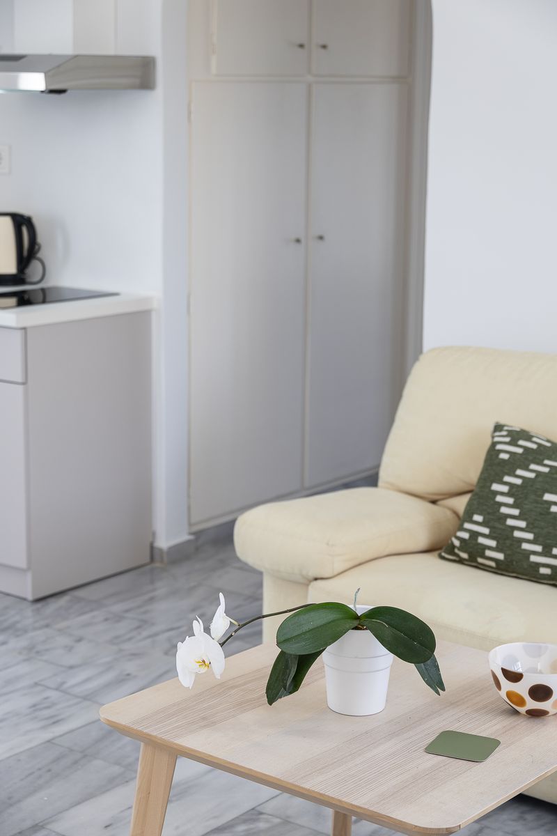 Indoor Modernist Suite With Spa Bath 