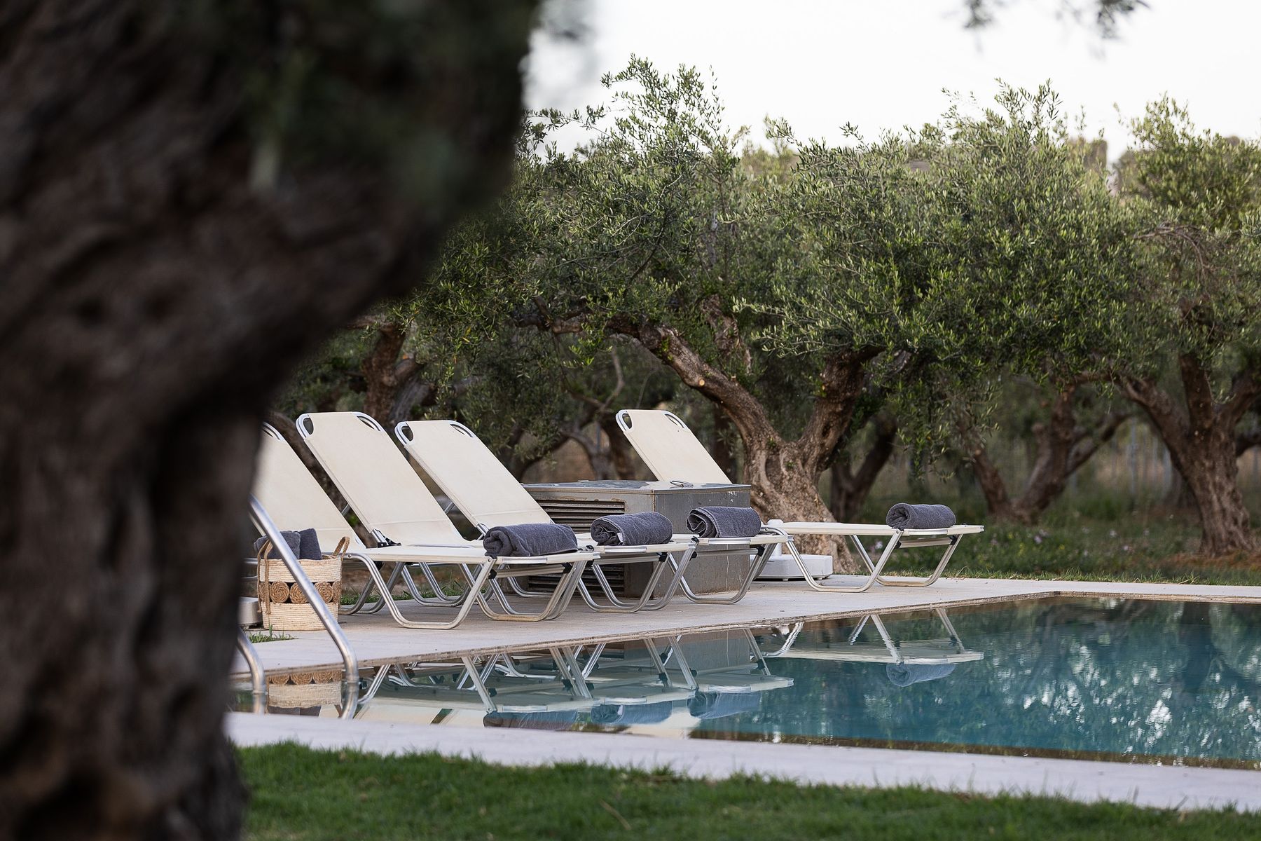 Outdoor Modernist Pool Villa 