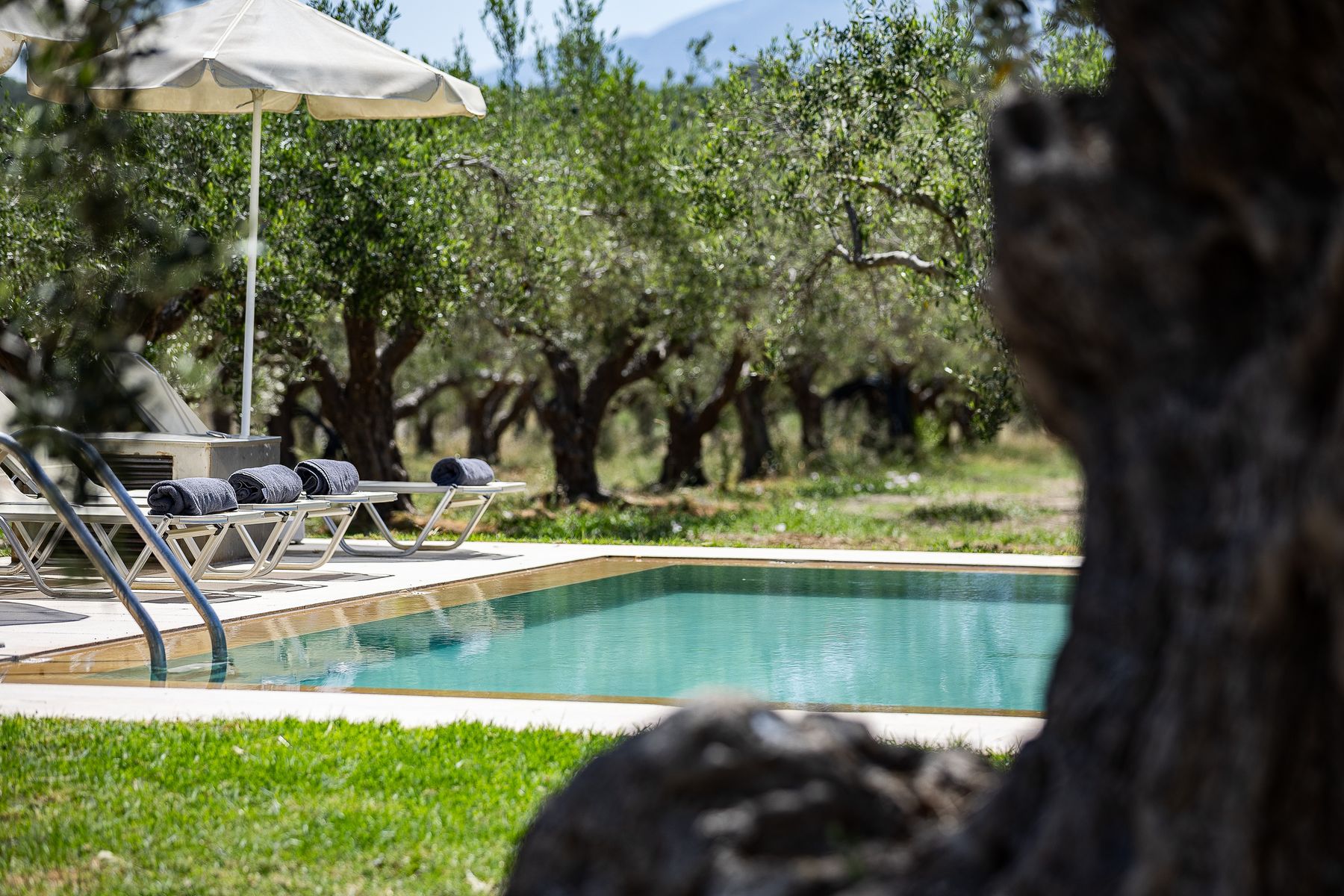 Outdoor Modernist Pool Villa 