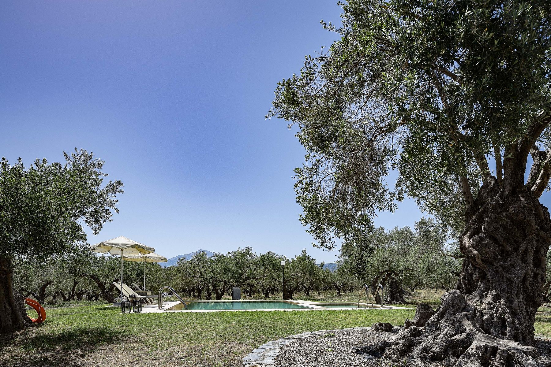 Outdoor Modernist Pool Villa 